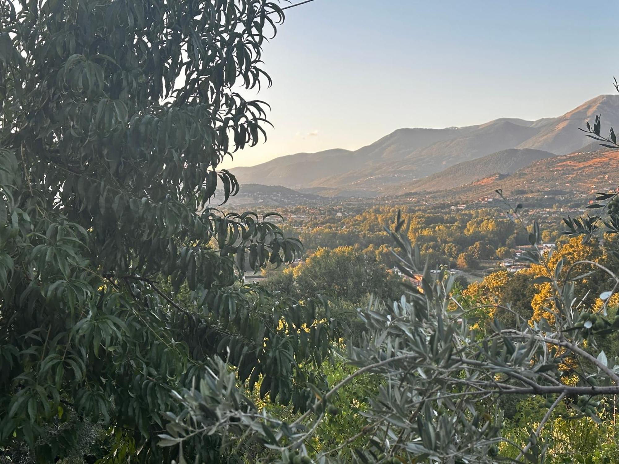 Apartamento La Casa In Collina Veroli Exterior foto