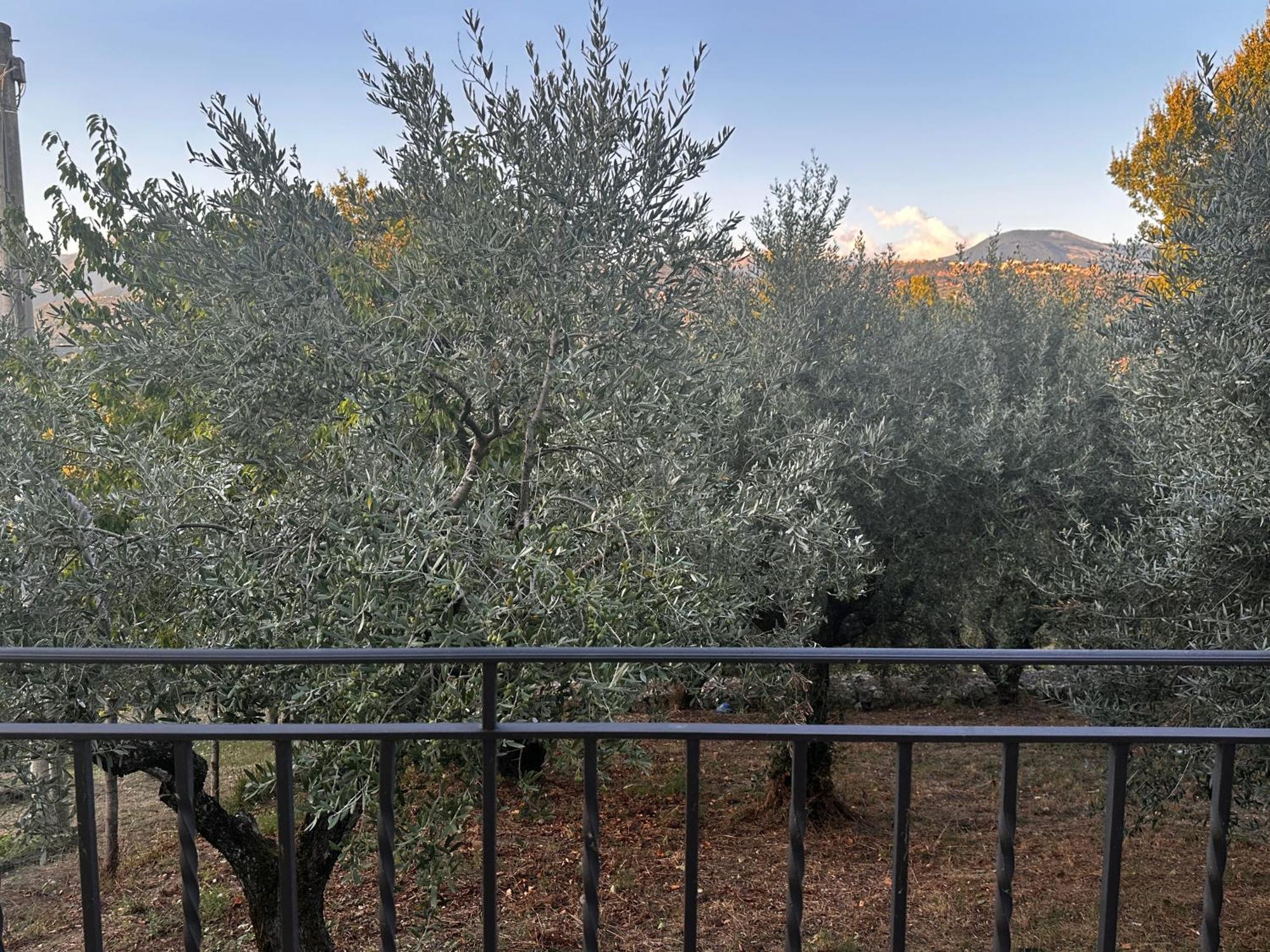 Apartamento La Casa In Collina Veroli Exterior foto